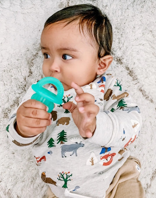 Green Cactus Silicone Teensy Teether - Polkadots & Moonbeams